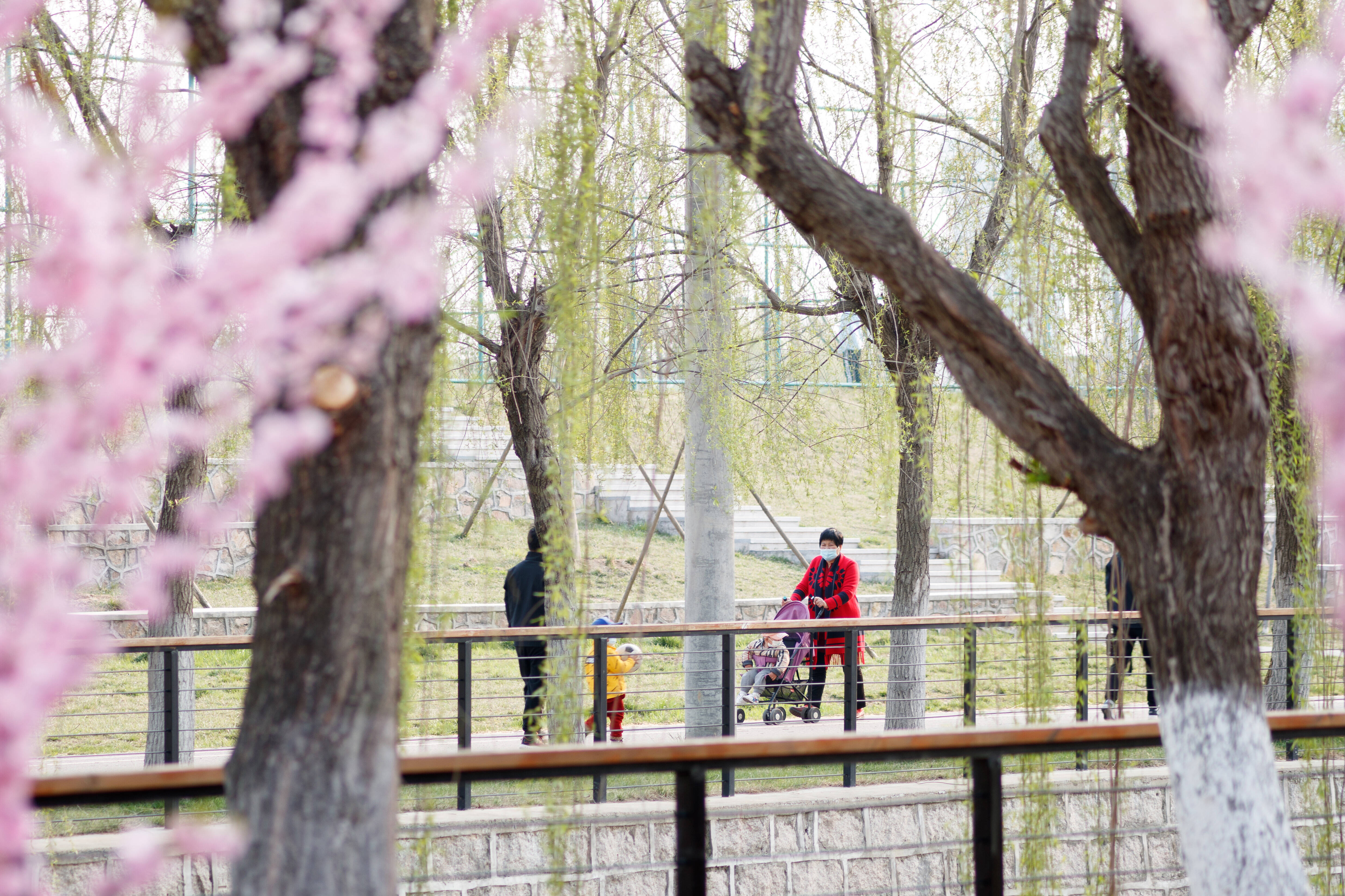 航拍乳山美景视频,乳山的美景