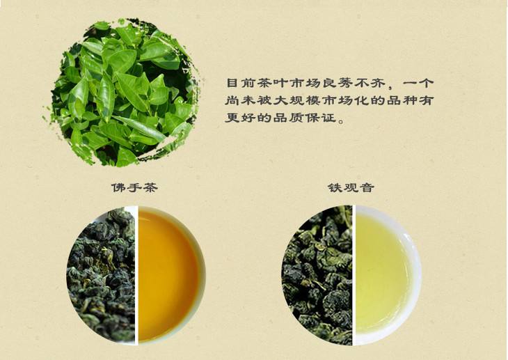 永春佛手茶对比铁观音,永春佛手茶和铁观音茶的区别