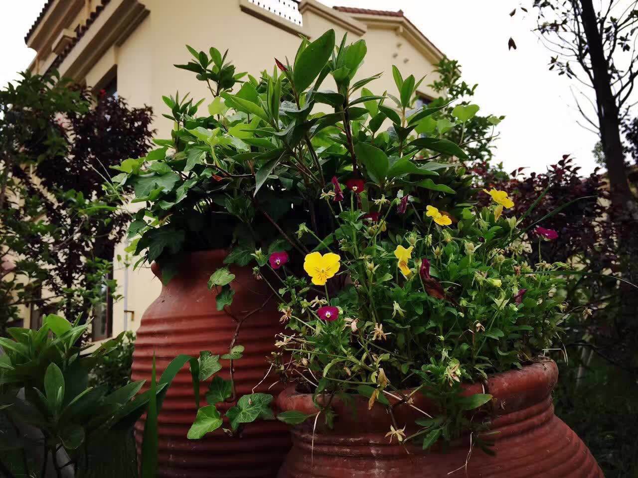 青浦3万以下新楼盘,青浦新楼盘叠墅