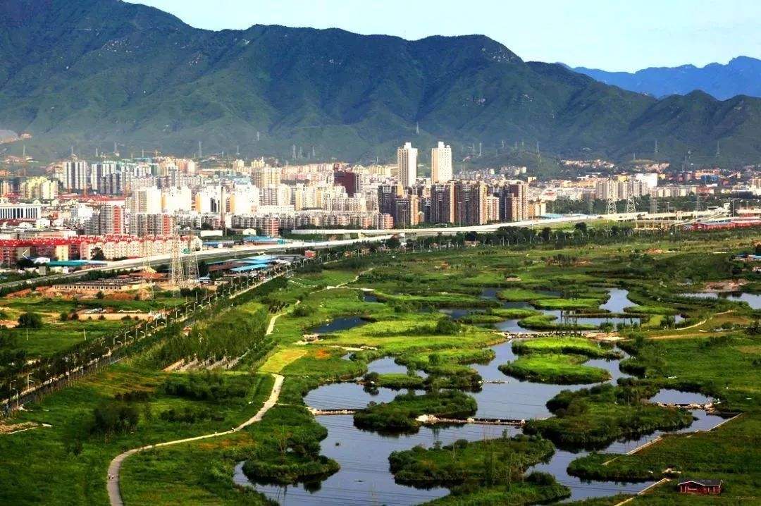 双创创新,双创高质量发展前景