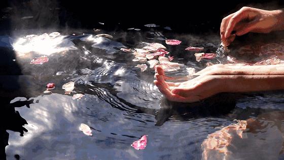 鍘﹂棬澶╂矏娓╂硥閰掑簵,鍘﹂棬澶╂矏娓╂硥鏅偣浠嬬粛