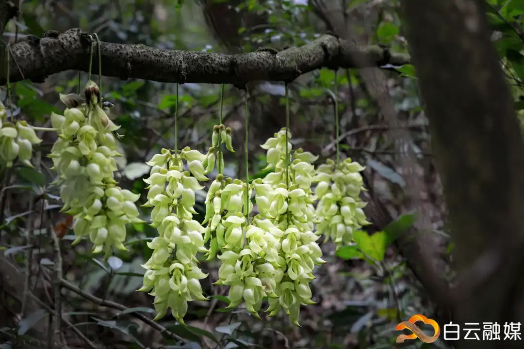 走一起去看美丽的风景,走一起去看美好的风景