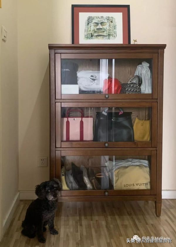 超好看的宠物包,好看又大的宠物包