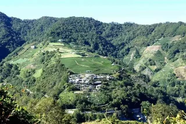 创意农业和休闲农业,传统农业遇到文化创意