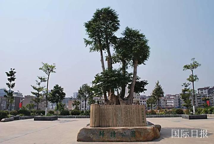 诗画梅江梅州,诗画梅江绘画作品