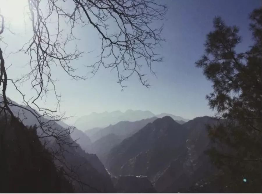 23岁踏入终南山，一处小院，一袭布衣，她的日子比小龙女还逍遥