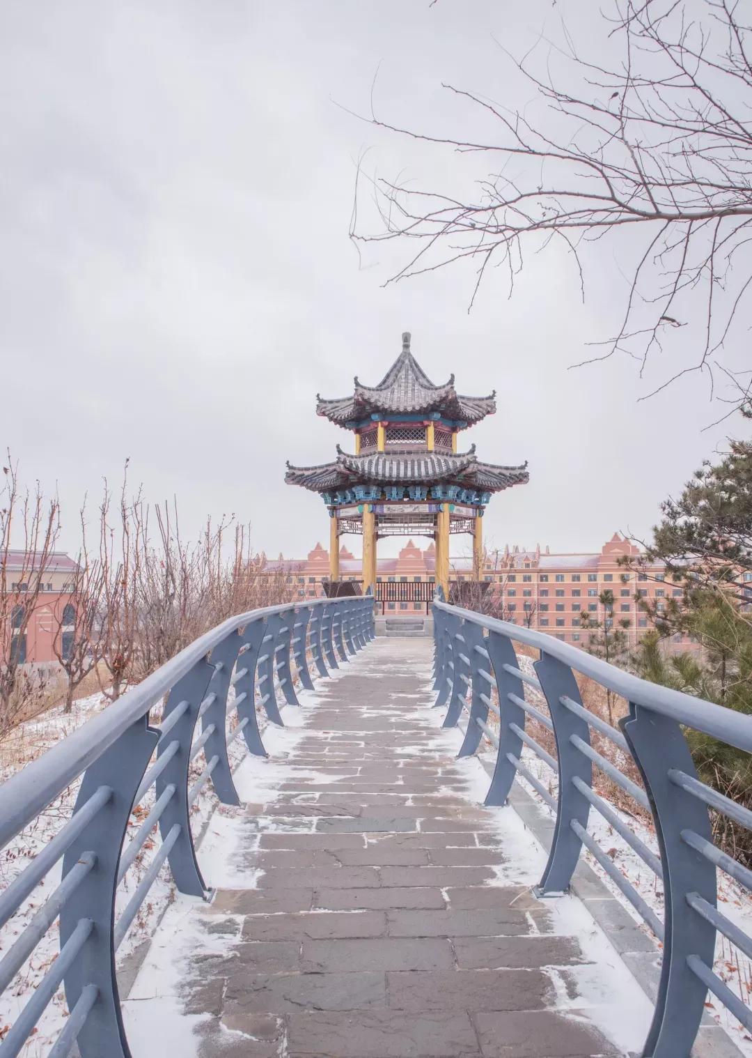 辽宁省普通高等院校(二十二)渤海大学