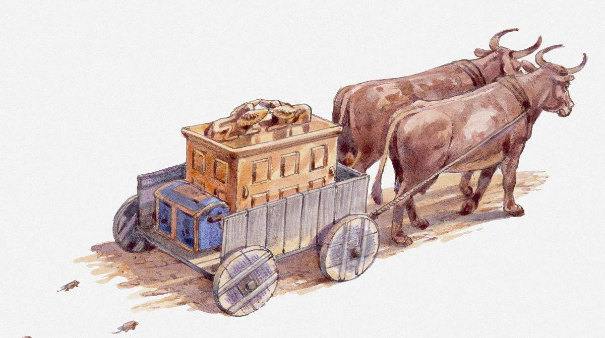 犹太人和巴勒斯坦人有什么区别,犹太人和以色列人有何区别