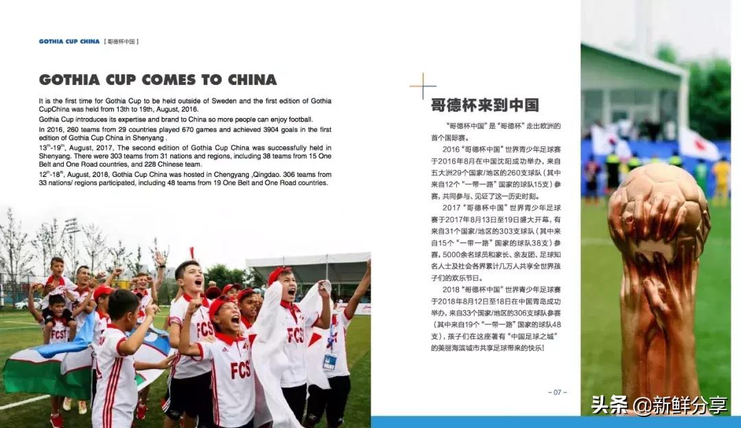 哥德杯世界青少年足球赛,国际青少年足球大赛在哪里举办