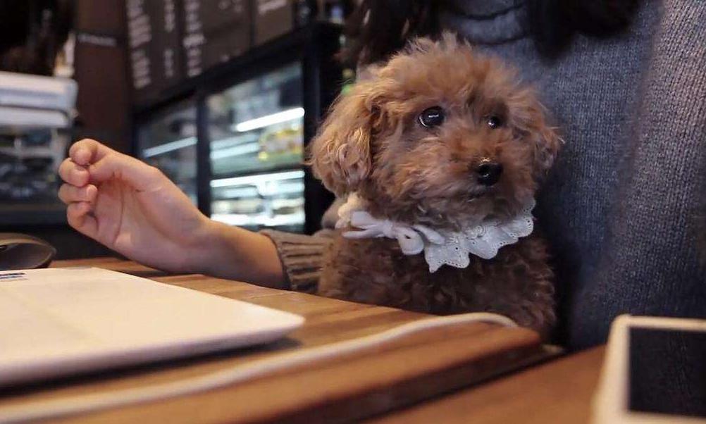 小姐姐分享自拍的“羞羞”日常，引百万人围观