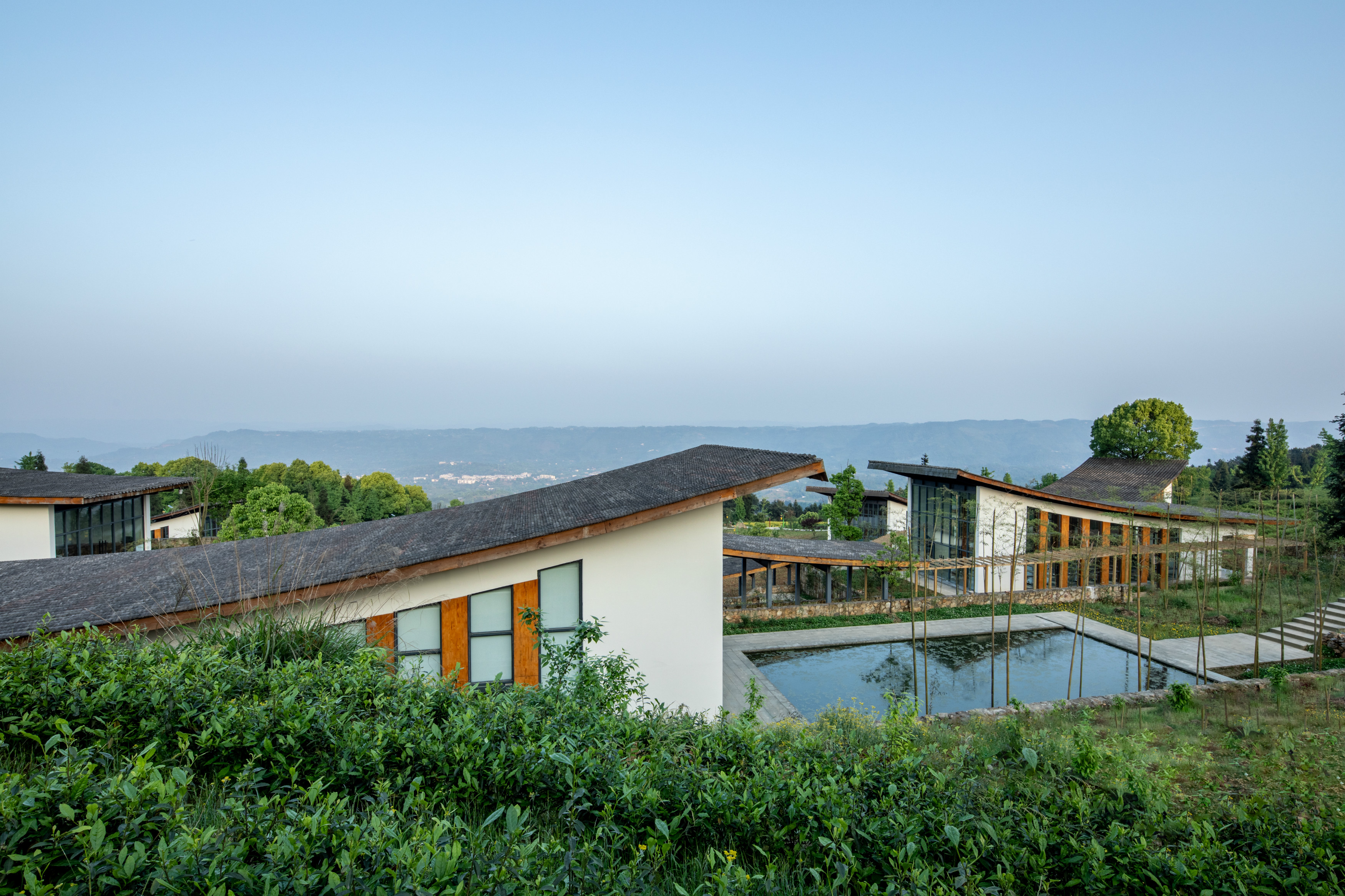亲近自然听风听雨,亲近大自然聆听虫鸣鸟叫