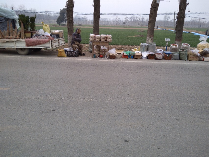 农村赶大集摆地摊可以做的小生意,豫东的农村春节赶大集