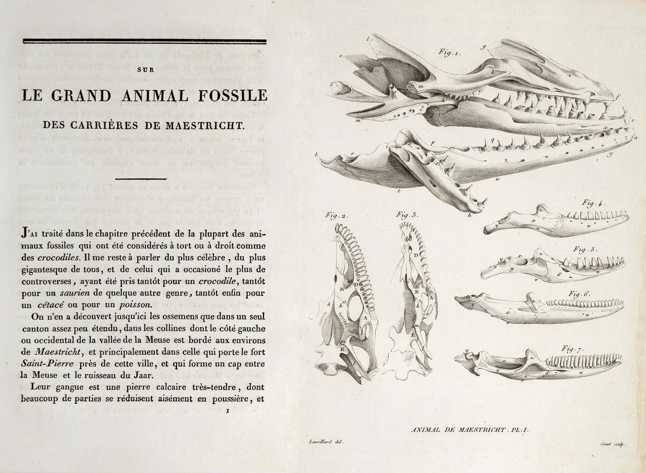 进化论意识是怎么产生的,进化论如何解释意识起源
