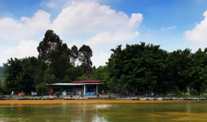 广东佛山一环自驾游攻略,粤港澳大湾区游