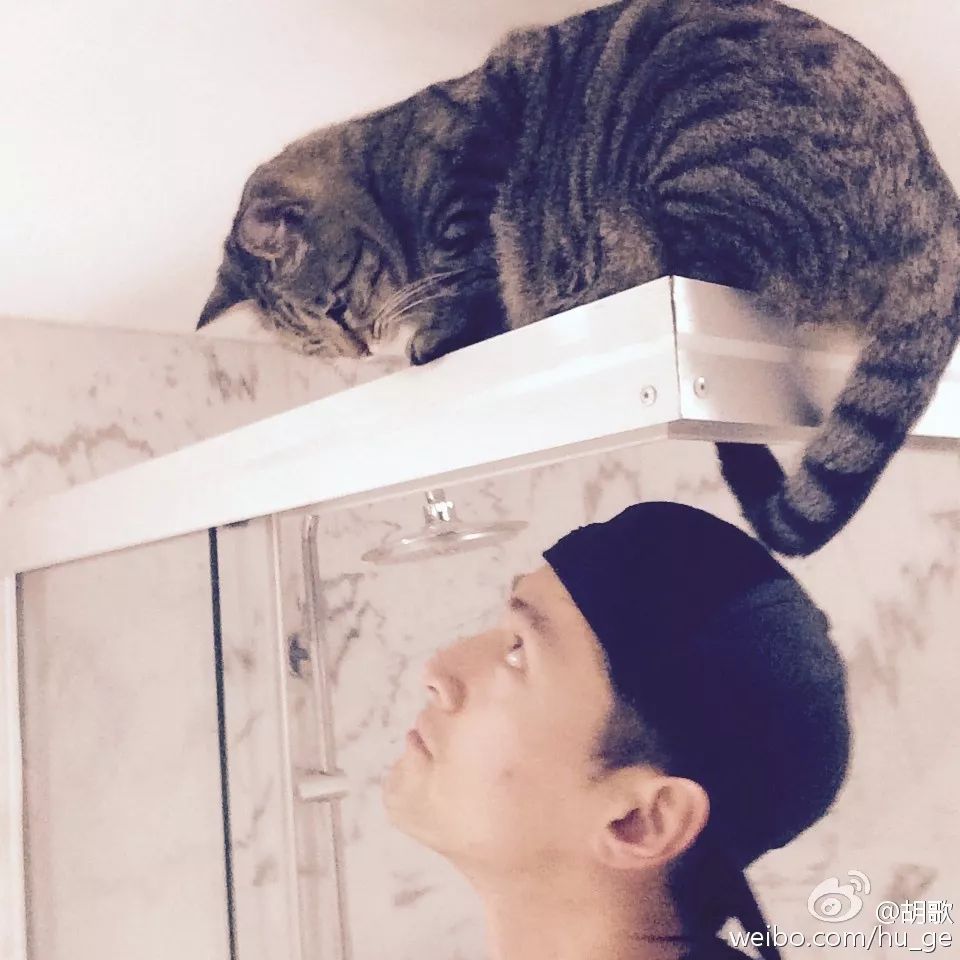 胡歌彭于晏和我,胡歌我和我的父辈