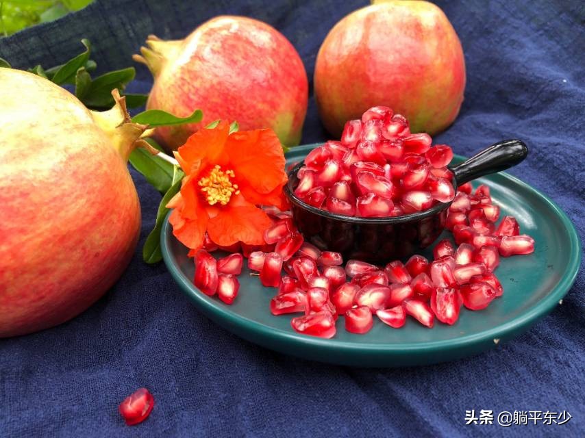 突尼斯软籽石榴苗真假辨别图片,突尼斯软籽石榴正宗苗