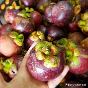 新鲜山竹水果怎么挑,现采摘新鲜山竹怎么挑选