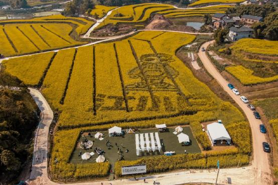 江小白陶石泉教学视频,江小白创始人陶石泉下集