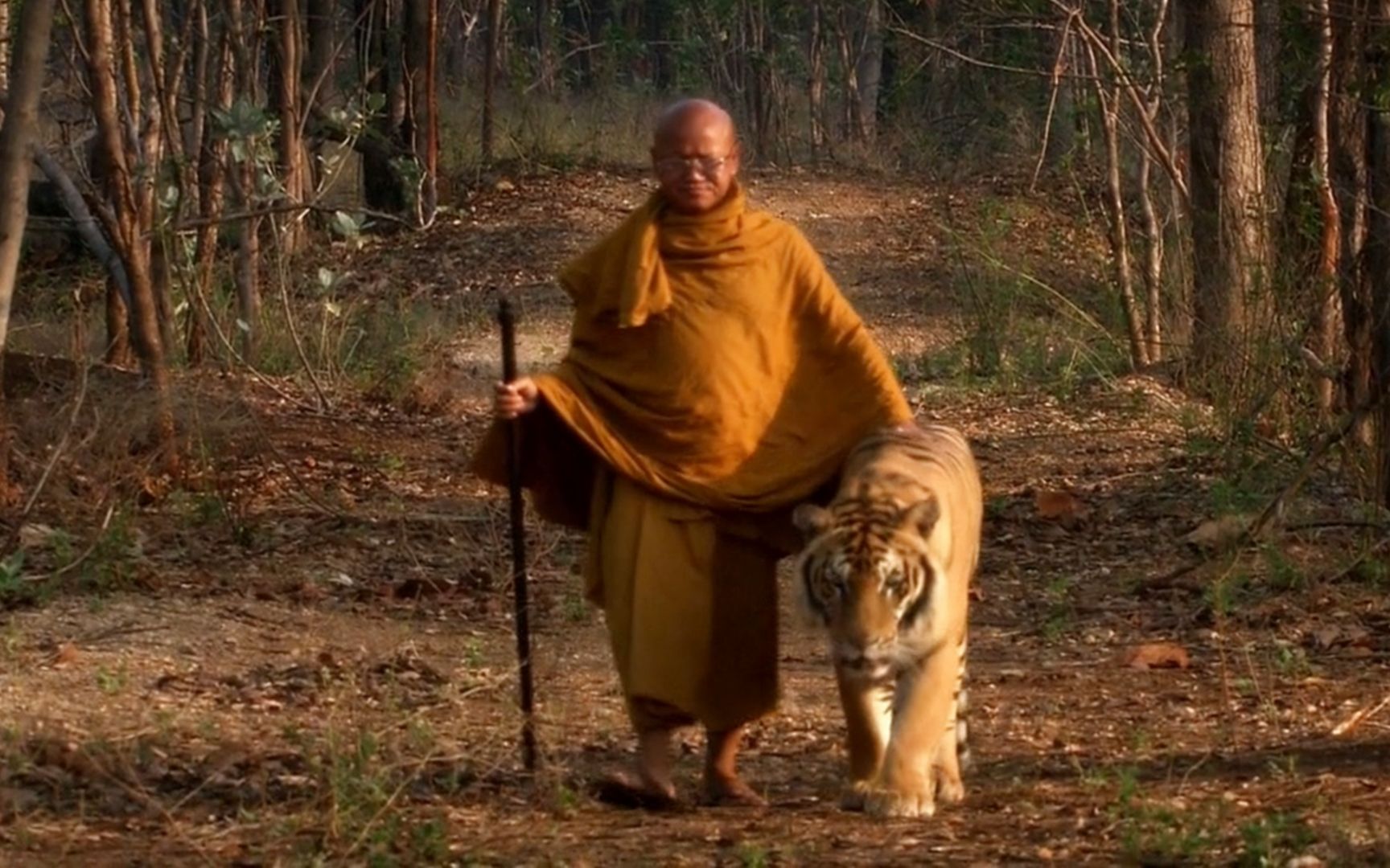 泰国的和尚真的很善良吗,泰国和尚赚钱