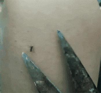 开心搞笑视频小哥哥,小哥哥搞笑视频gif