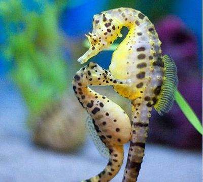 代沟是父母还是子女的责任例子,代沟是孩子造成的还是父母造成的