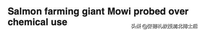 外媒曝光了挪威三文鱼养殖真相吗,挪威三文鱼养殖环境恶劣新闻