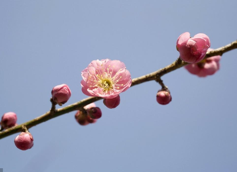 期货交易要把握好时机,期货交易机会的预判