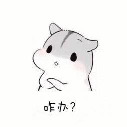 备孕科普：卵泡发育不成熟怎么办?如何促?胰岛素抵抗可以不用药?