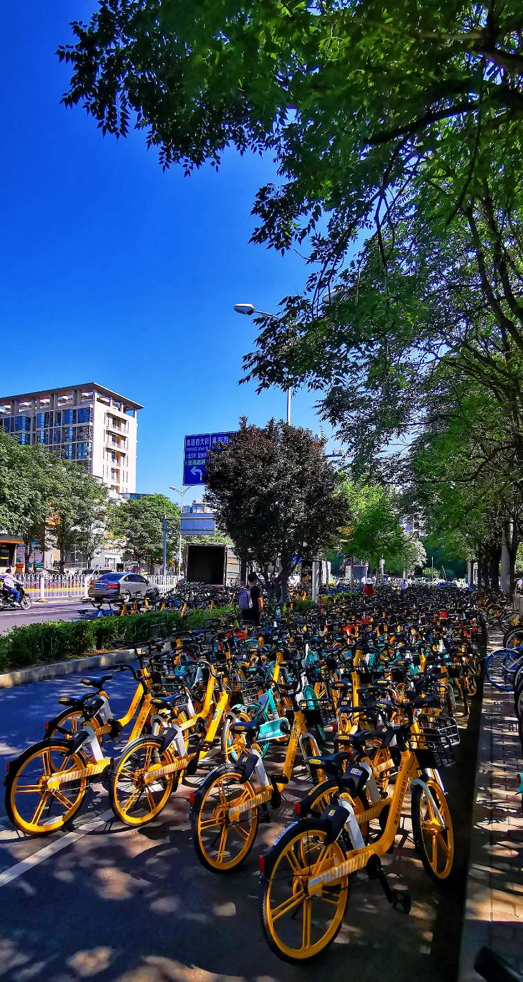 鍖椾含绉樺,鍖椾含绉樺涔嬫梾