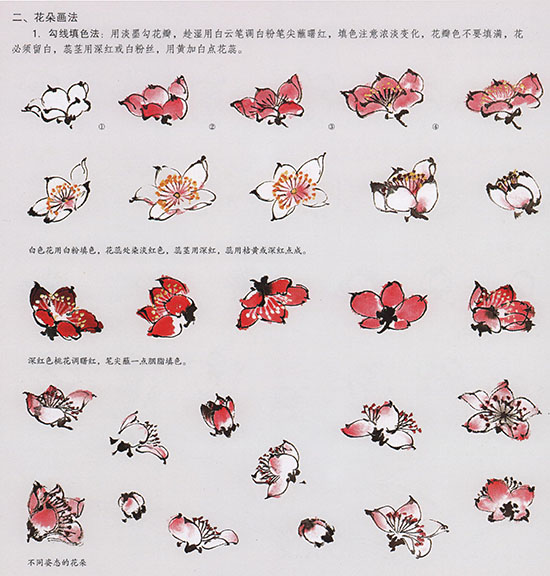 国画转水转粉技法,转桃花教程