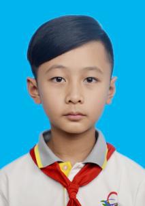 北京优秀少先队员,北京市十佳少先队员证书