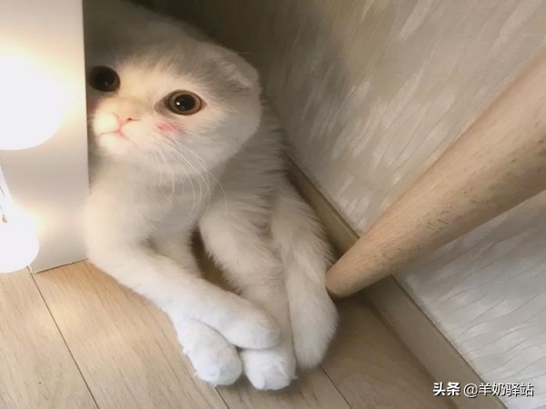 药妆只知道雅漾理肤泉？6大药妆品牌搞定所有肌肤问题！