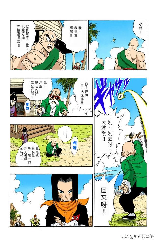 看龙珠感悟,龙珠龟仙人看布尔玛