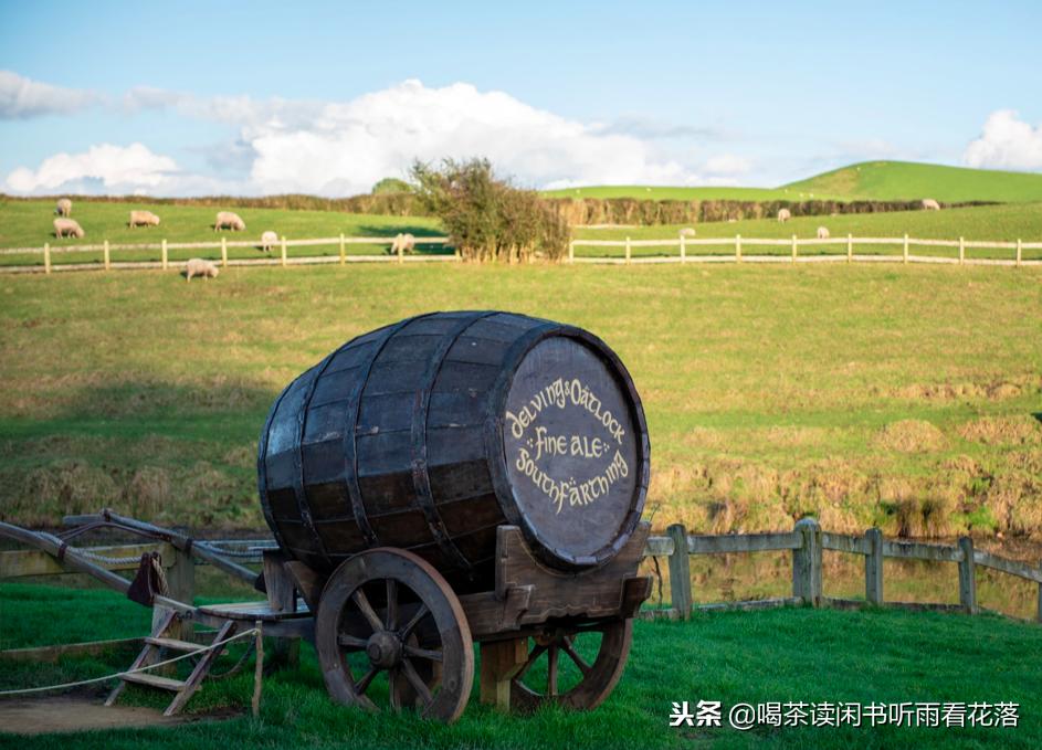 13天自驾新西兰，这个不缺蓝天与绿草的国度无比的热情富有生命力