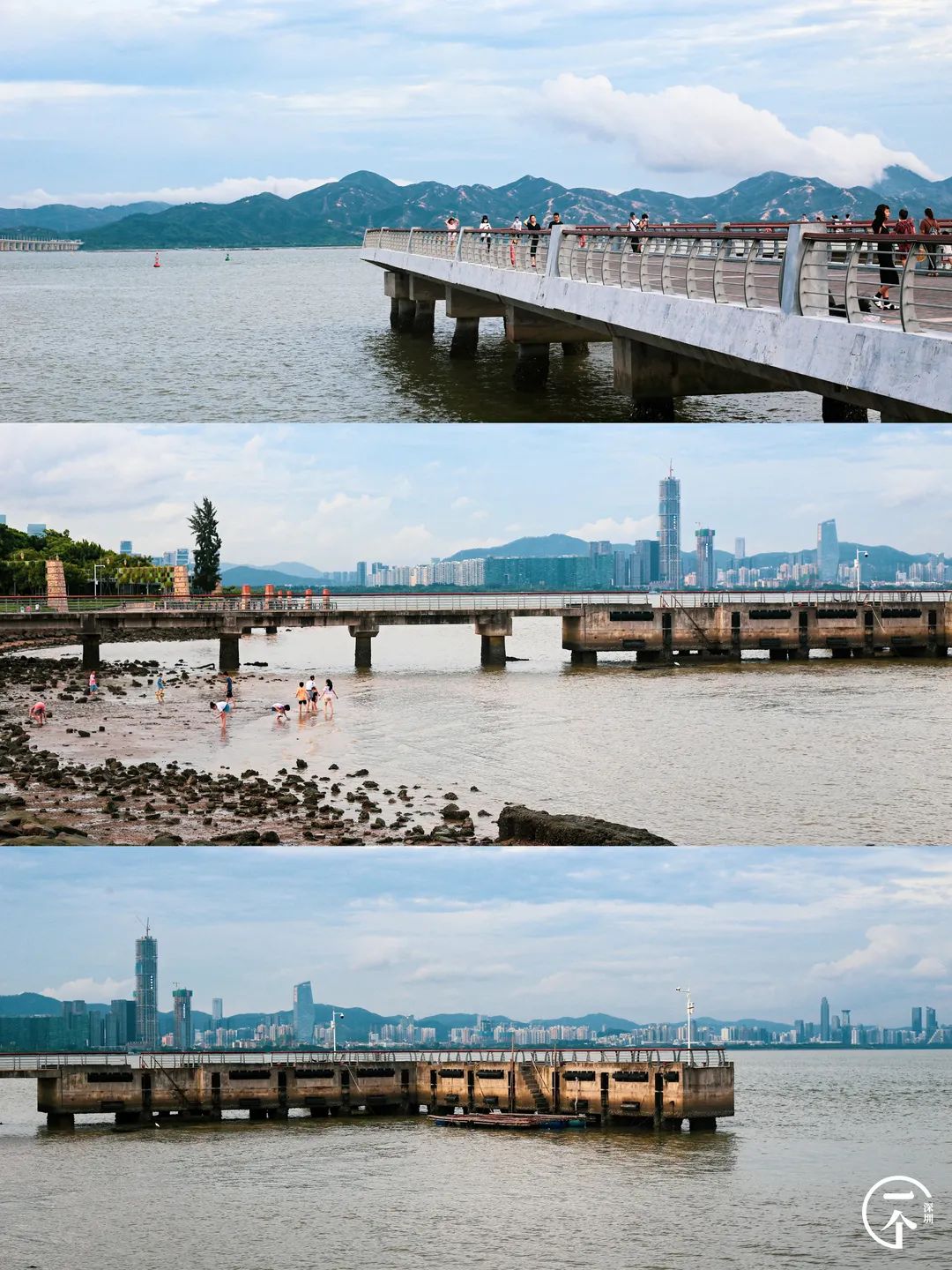 测评深圳湾,我直接被房租劝退