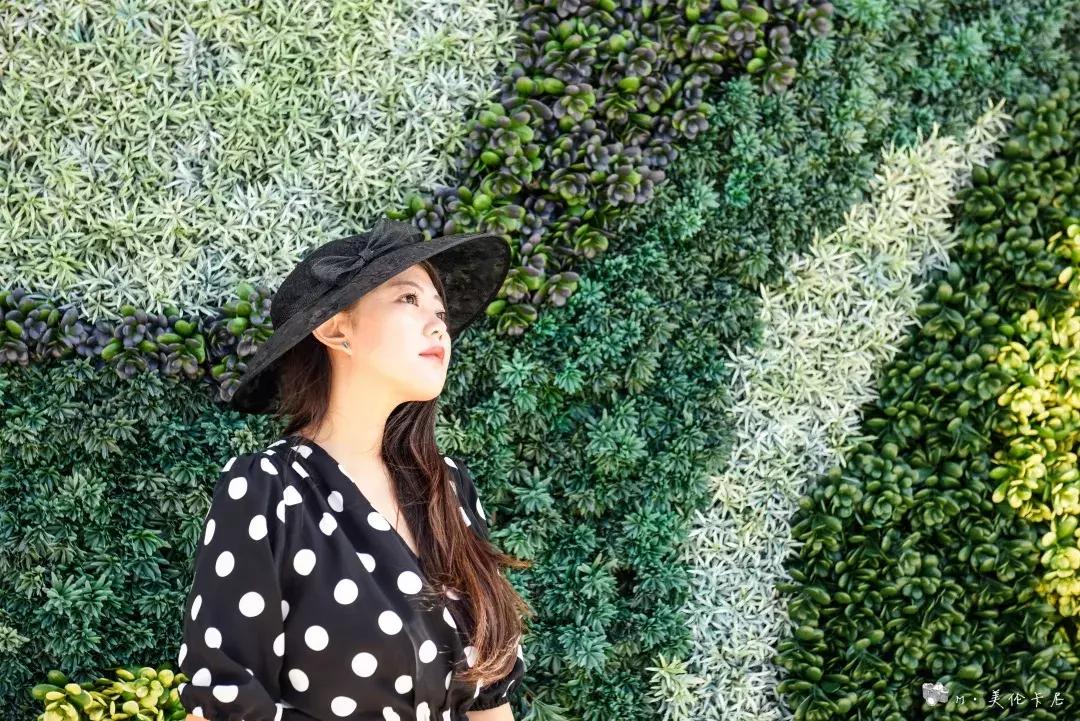 邮轮上怎么拍照取景,邮轮上如何拍照片好看