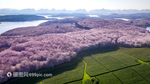 多彩贵州醉人美,多彩贵州就是美