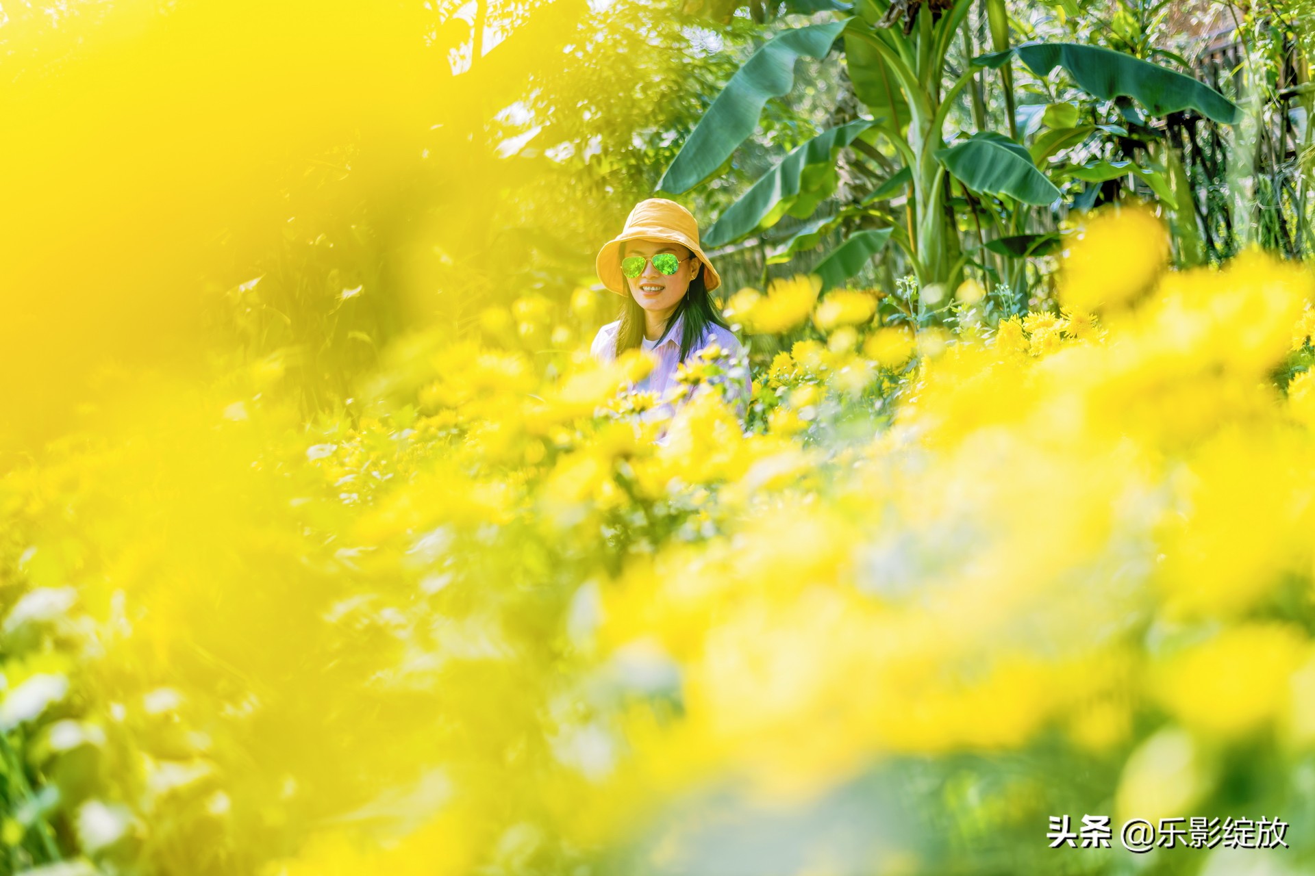 带小花狗去野外生存,带着小花去兜风