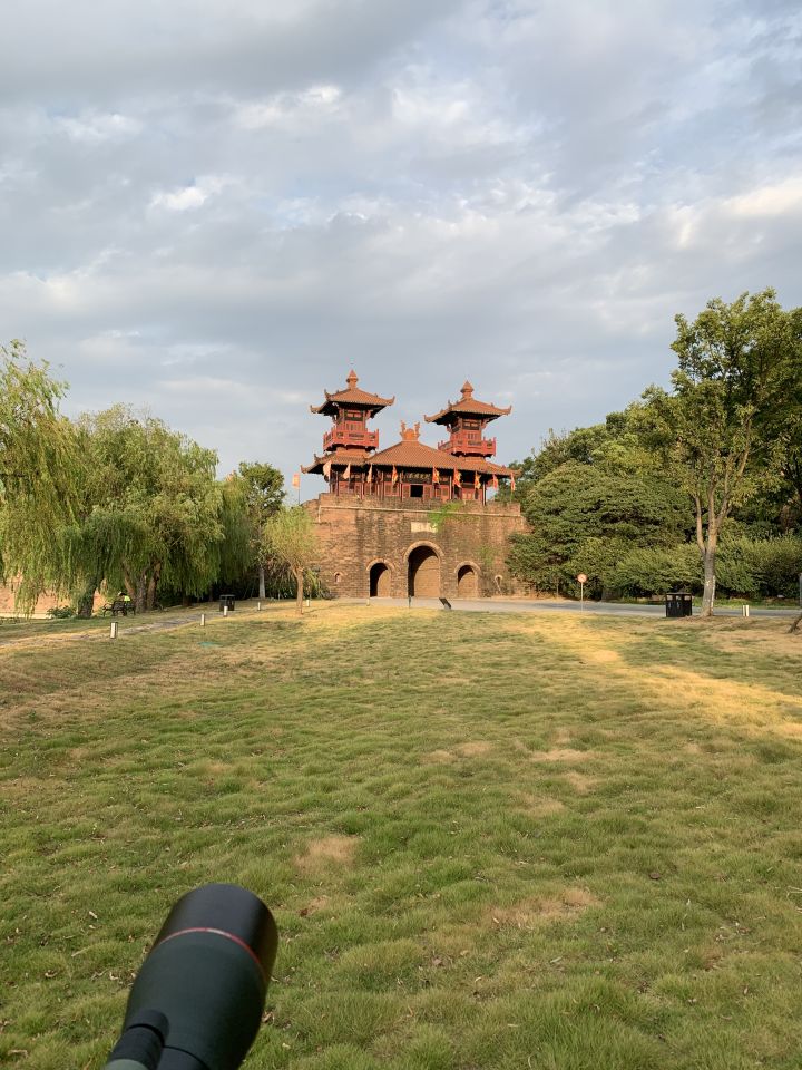 森林人单筒手机望远镜测试,iphonexr手机望远镜