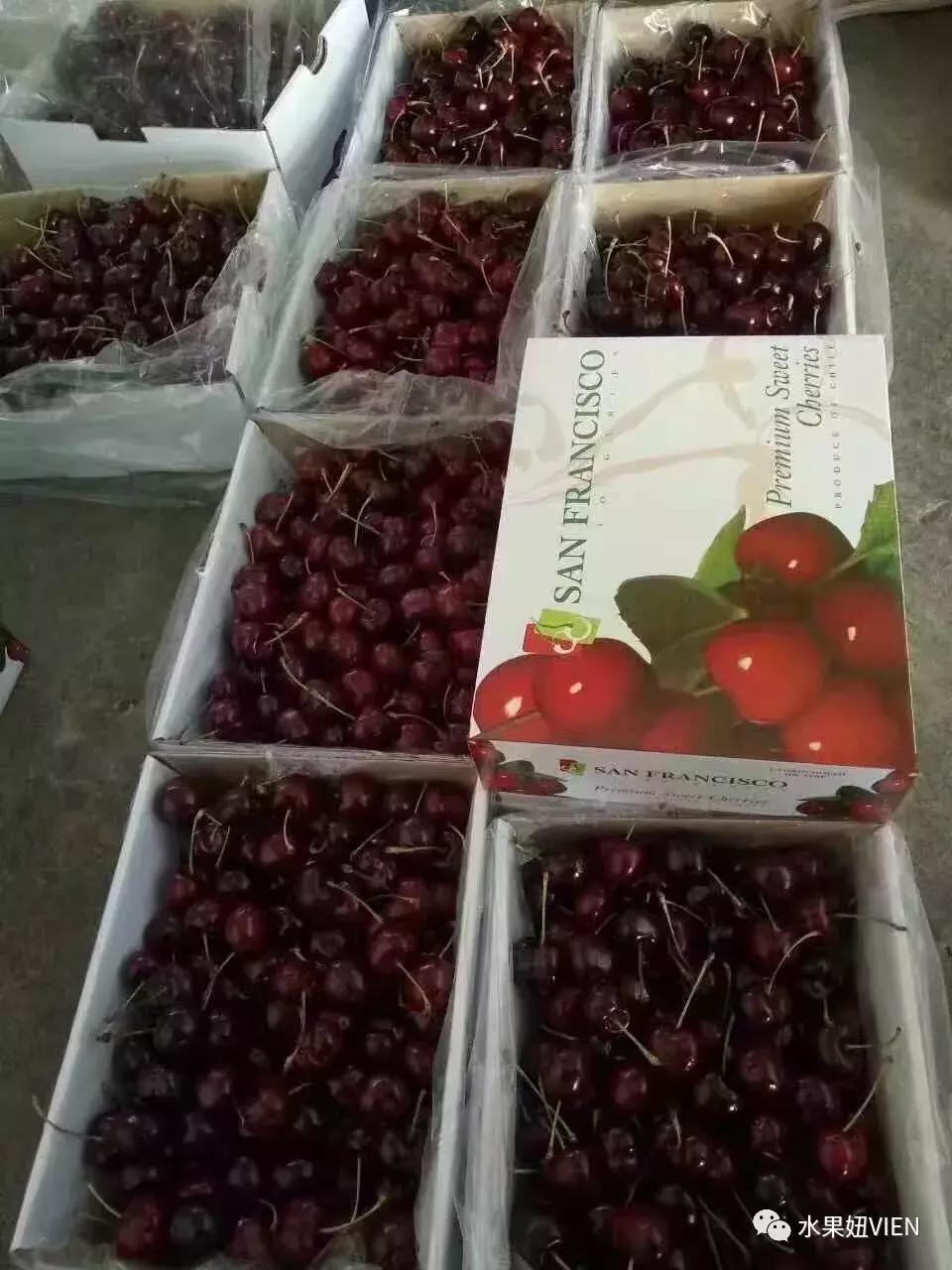 妯辨璐╁瓙鎬庝箞璧氶挶,妯辨绉嶆楠楀眬鎻鏂伴椈