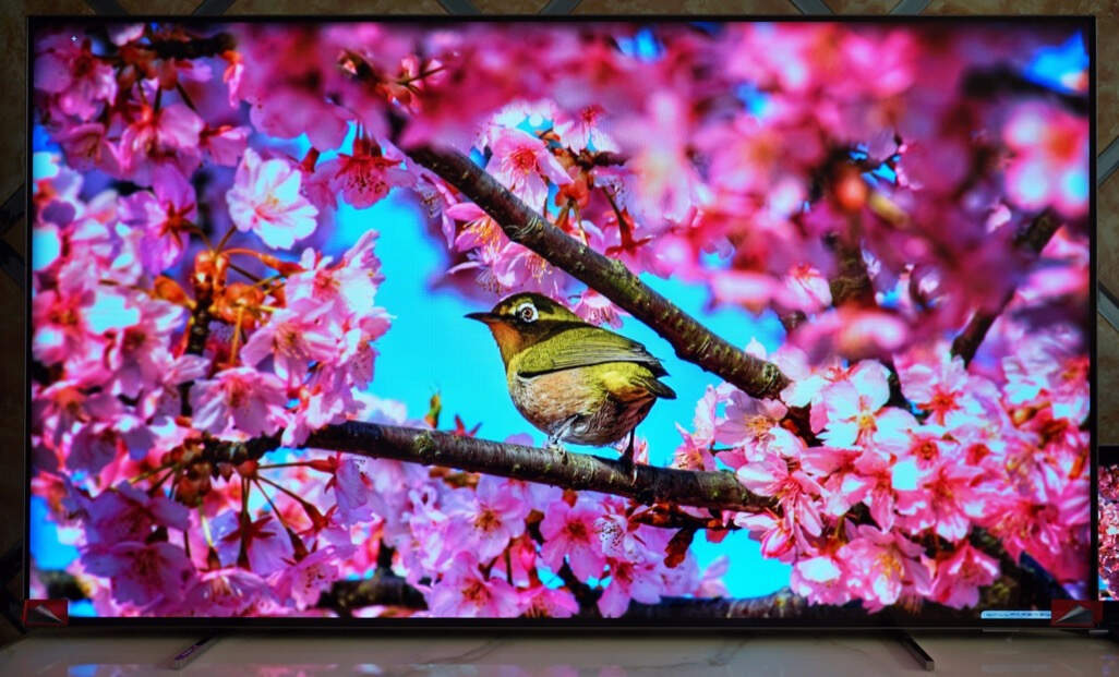 飞利浦65oled784t3,飞利浦55寸4k7165液晶电视机