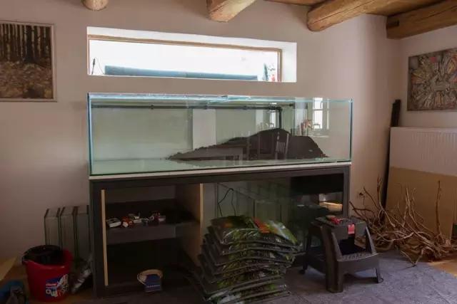 本色水景水草造景培训,本色水景水草培训