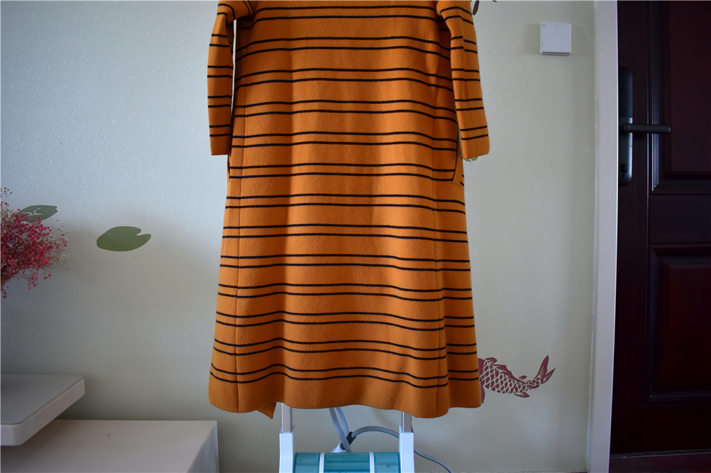 卓力bg546挂烫机,卓力增压智能挂烫机bg538pl