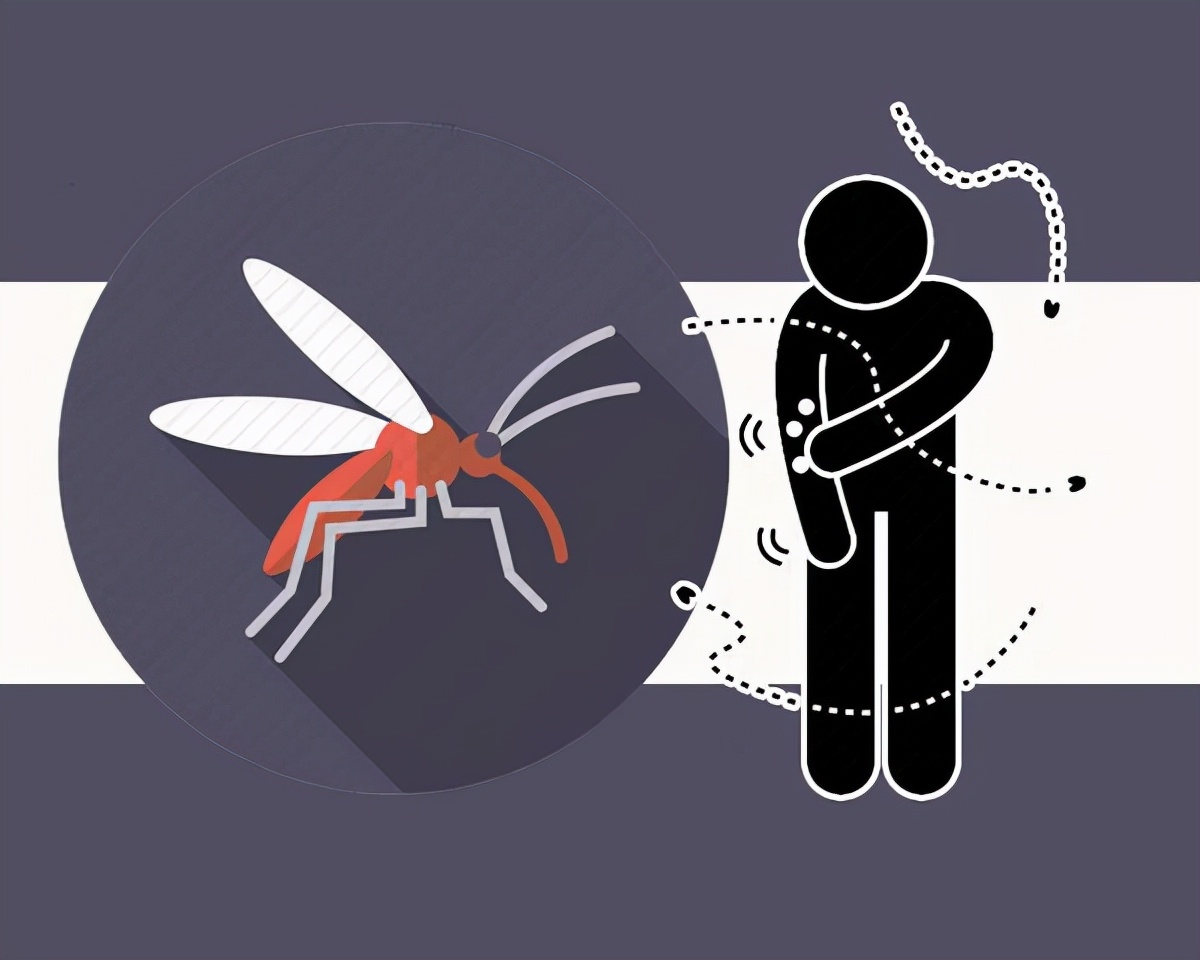 秋天即将来临夏天的蚊子都去哪了,为什么有人说秋天的蚊子最凶猛