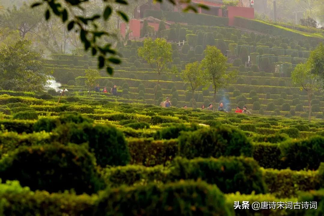 寒食古诗诗意100字,寒食节必读十首诗词