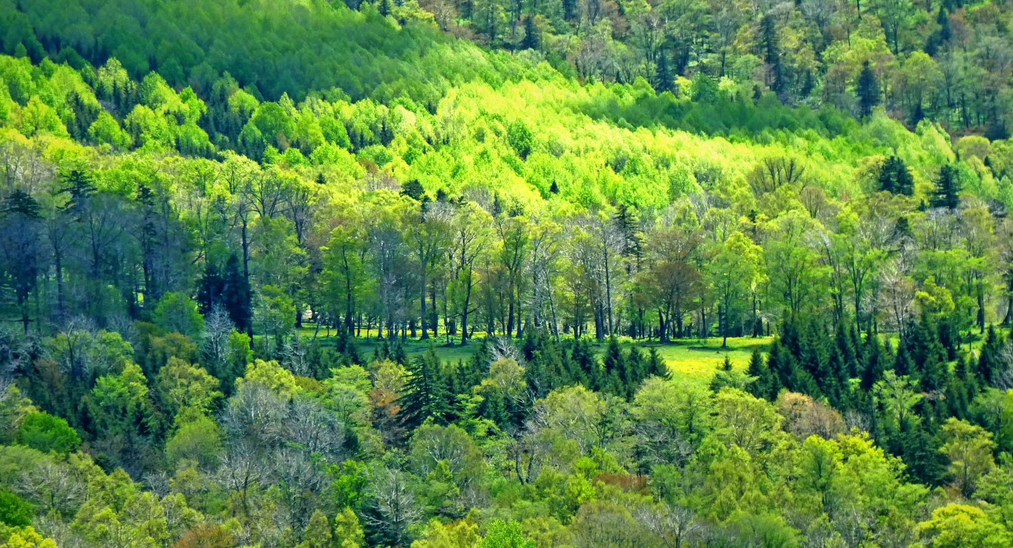 康熙一生巡访几次,康熙帝三次亲征的路线
