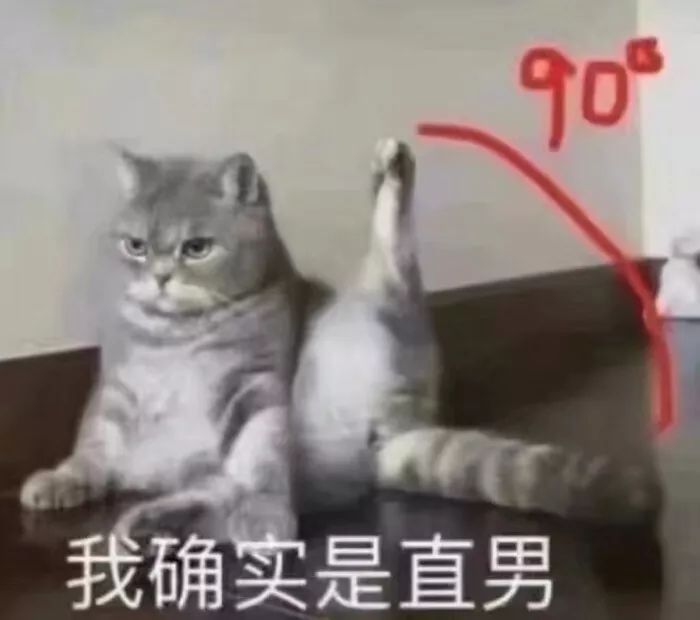 老一辈的猫长肿瘤了怎么办,猫咪身体里长了个肿瘤