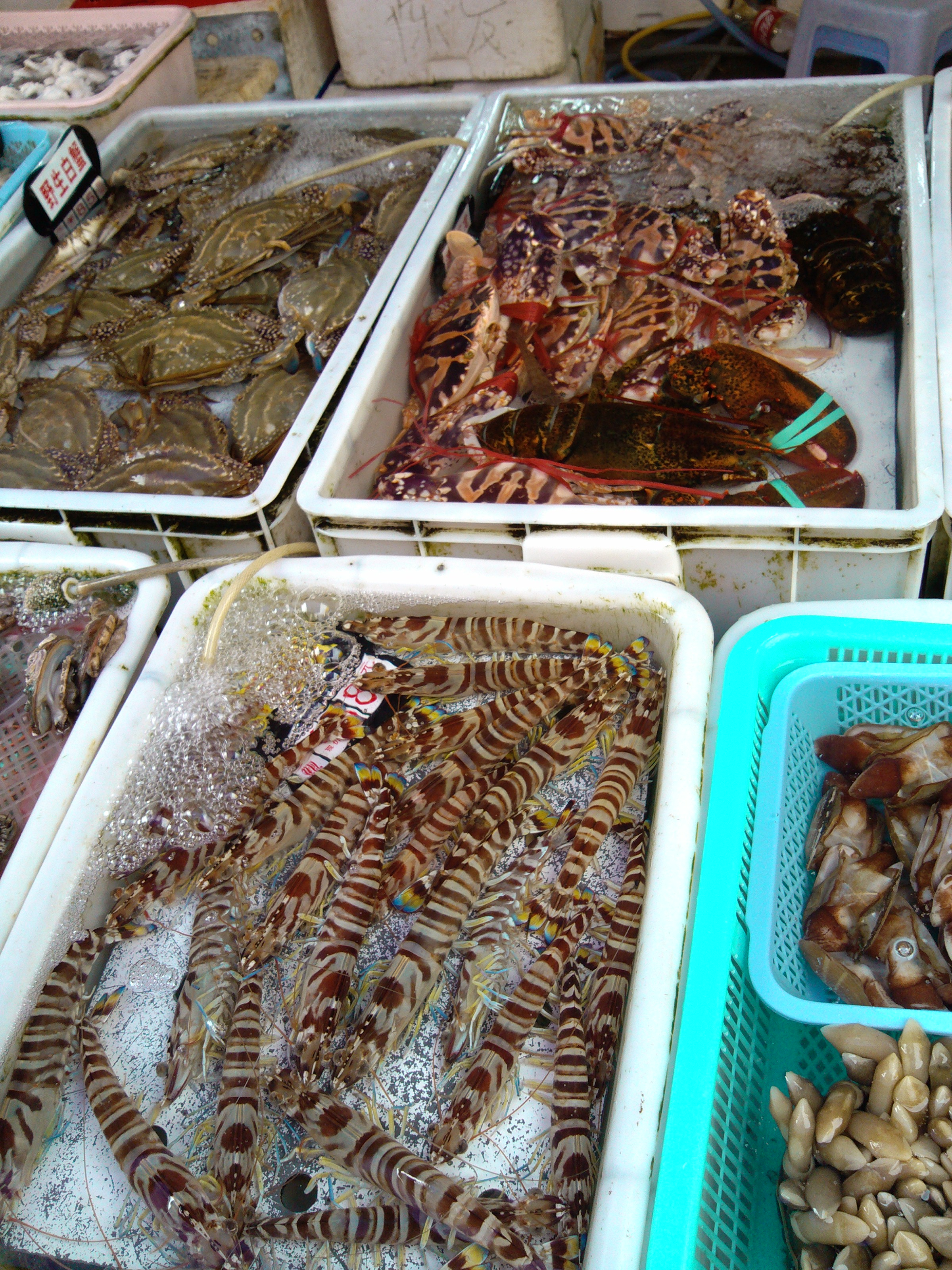 珠海海鲜游,珠海澳门环岛游时间表