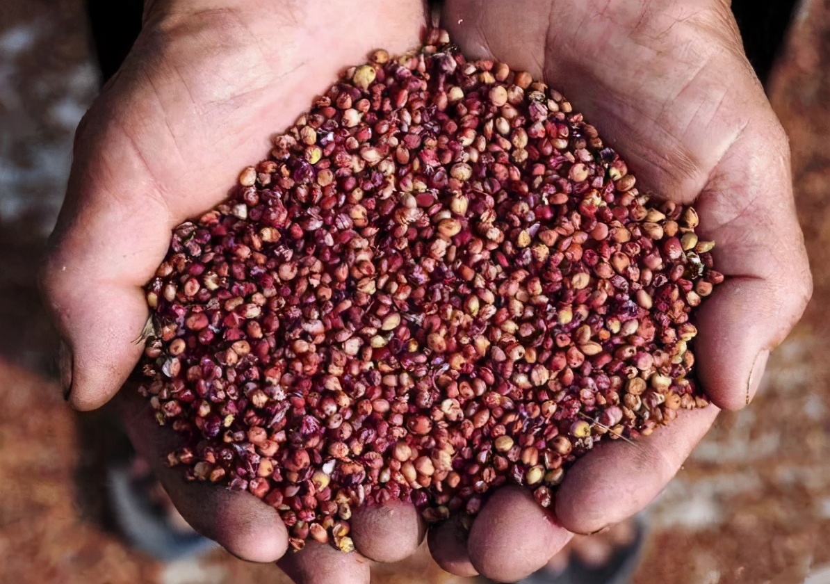 白酒都有食用酒精吗为什么,白酒禁止非谷物类酒精