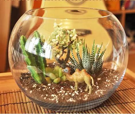 家里花瓶插花放点什么,创意养花花瓶